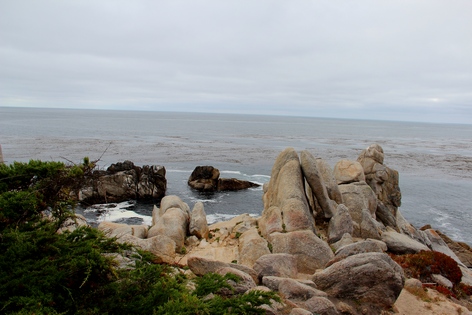 ��������� ����������